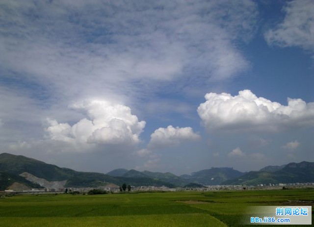 20101002099.jpg