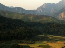 田岙周边