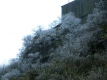 百岗尖的冰针（晶）