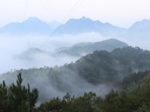 今天早晨的雾景-新鲜