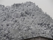 你那里下雪了吗？