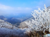 雾淞