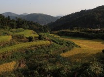 大荆★蔡界山★郑家岭