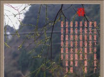 春讯