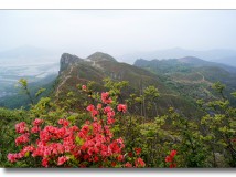 上堡山登高赏花