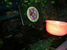 射水鱼