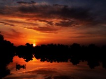 夕阳  /  夕下——水中胡杨